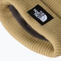 Zimná čiapka The North Face Salty Lined 3