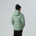 Detska zimska jakna The North Face Reversible Perrito Hooded slate moss 3