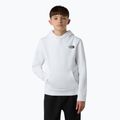 Detská mikina The North Face Teen Redbox Regular P/O white/black 4