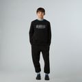 Detská mikina The North Face Reflective Logo Relaxed Crew black 2