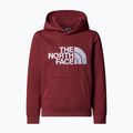 Detská mikina The North Face Teen Drew Peak Pullover Hoodie sumac