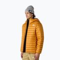 Pánska bunda The North Face Terra Peak Hoodie citrine yellow