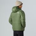 Pánska bunda The North Face Terra Peak Hoodie bark mist 3