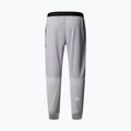 Pánske nohavice The North Face Mountain Athletics Fleece pale grey heather/meld grey 2