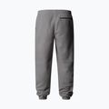 Pánske nohavice The North Face Glacier Fleece mid graather heather 6