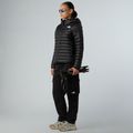Dámska páperová bunda The North Face Terra Peak Hoodie black 2