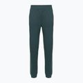 Dámske nohavice The North Face Mountain Athletics Fleece deep cypress/space