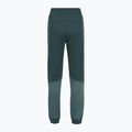 Dámske nohavice The North Face Mountain Athletics Fleece deep cypress/space 2