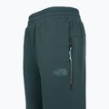 Dámske nohavice The North Face Mountain Athletics Fleece deep cypress/space 3