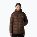 Damska kurtka The North Face Hyalite Down Parka w kolorze dymnym brązie