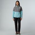 Dámske trekingové nohavice The North Face Quest Softshell black 2