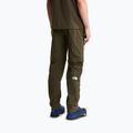 Pánske trekingové nohavice The North Face Exploration Regular Tapered Convertible taupe green 3
