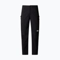 Pánske zimné nohavice The North Face Winter Exploration Reg Tapered Cargo black 4