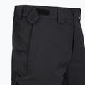 Pánske lyžiarske nohavice The North Face Chakal Regular black/black 3