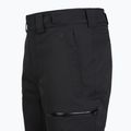 Pánske lyžiarske nohavice The North Face Chakal Regular black/black 4
