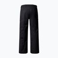 Pánske lyžiarske nohavice The North Face Chakal Regular black/black 2