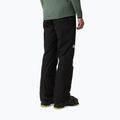 Pánske lyžiarske nohavice The North Face Descendit black/black 3