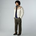 Pánska bunda The North Face Saikuru mushroom grey/white dun 2