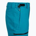 Pánske lyžiarske nohavice The North Face Chakal Regular dusk blue 3
