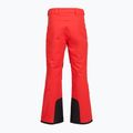Pánske lyžiarske nohavice The North Face Chakal Regular elevation red 2