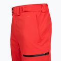 Pánske lyžiarske nohavice The North Face Chakal Regular elevation red 4