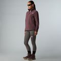 Dámska fleecová mikina The North Face Glacier Fleece 1/4 Zip tawny quartz 2