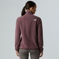 Dámska fleecová mikina The North Face Glacier Fleece 1/4 Zip tawny quartz 3