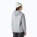 Dámska mikina The North Face Drew Peak Pullover Hoodie lightgreyheather/tawnyquartz 3