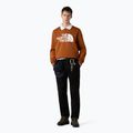 Pánska mikina The North Face Easy Crew burnt umber 2