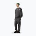 Pánske nohavice The North Face Expedition Celebration Relaxed Jogger Reg anthracite grey 2