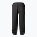 Pánske nohavice The North Face Expedition Celebration Relaxed Jogger Reg anthracite grey 5