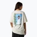 Pánske tričko The North Face NSE Slopes Relaxed Tee Graphic white dune 3