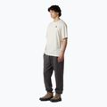 Pánske tričko The North Face Flower Dome Relaxed Graphic white dune 2