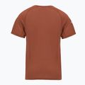 Pánske termoakčné tričko Smartwool Merino Sport 120 burnt sienna 2