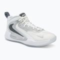 Volejbalové topánky Nike Hyperset 2 SE smmit white/metalic silver/pure platinum