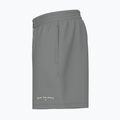 Pánske šortky New Balance Reimagined Fleece Graphic slategrey 3