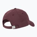 Dámska šiltovka New Balance 6 Panel Linear Logo fadedplu 2