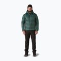 Pánska páperová bunda Patagonia Down Sweater Hoody cascade green 2