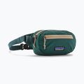 Ľadvinka Patagonia Terravia Mini Hip cascade green