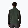 Pánska vesta Patagonia Retro Pile Fleece old growth green 2