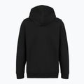 Pánska mikina Patagonia '95 Oval Logo Uprisal Hoody Black: Kaleido 2