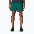 Pánske šortky Patagonia Baggies 5" 95 oval logo/gem green