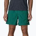 Pánske šortky Patagonia Baggies 5" 95 oval logo/gem green 4