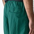 Pánske šortky Patagonia Baggies 5" 95 oval logo/gem green 7