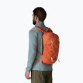 Mestský batoh Patagonia Terravia Pack 14 l coal orange 3
