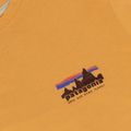 Pánske tričko Patagonia '73 Skyline T-Shirt dried mango 3