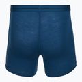 Pánske termo boxerky Icebreaker Anatomica atlantis 2