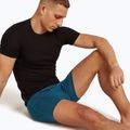 Pánske termo boxerky Icebreaker Anatomica atlantis 8