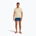 Pánske termo boxerky Icebreaker Anatomica Snow Day atlantis/topaz/aop 5