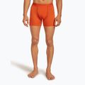 Pánske termo boxerky Icebreaker Anatomica fervid 2